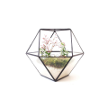 Okrągłe przezroczyste geometryczne kwadratowe szklane terrarium wiszące